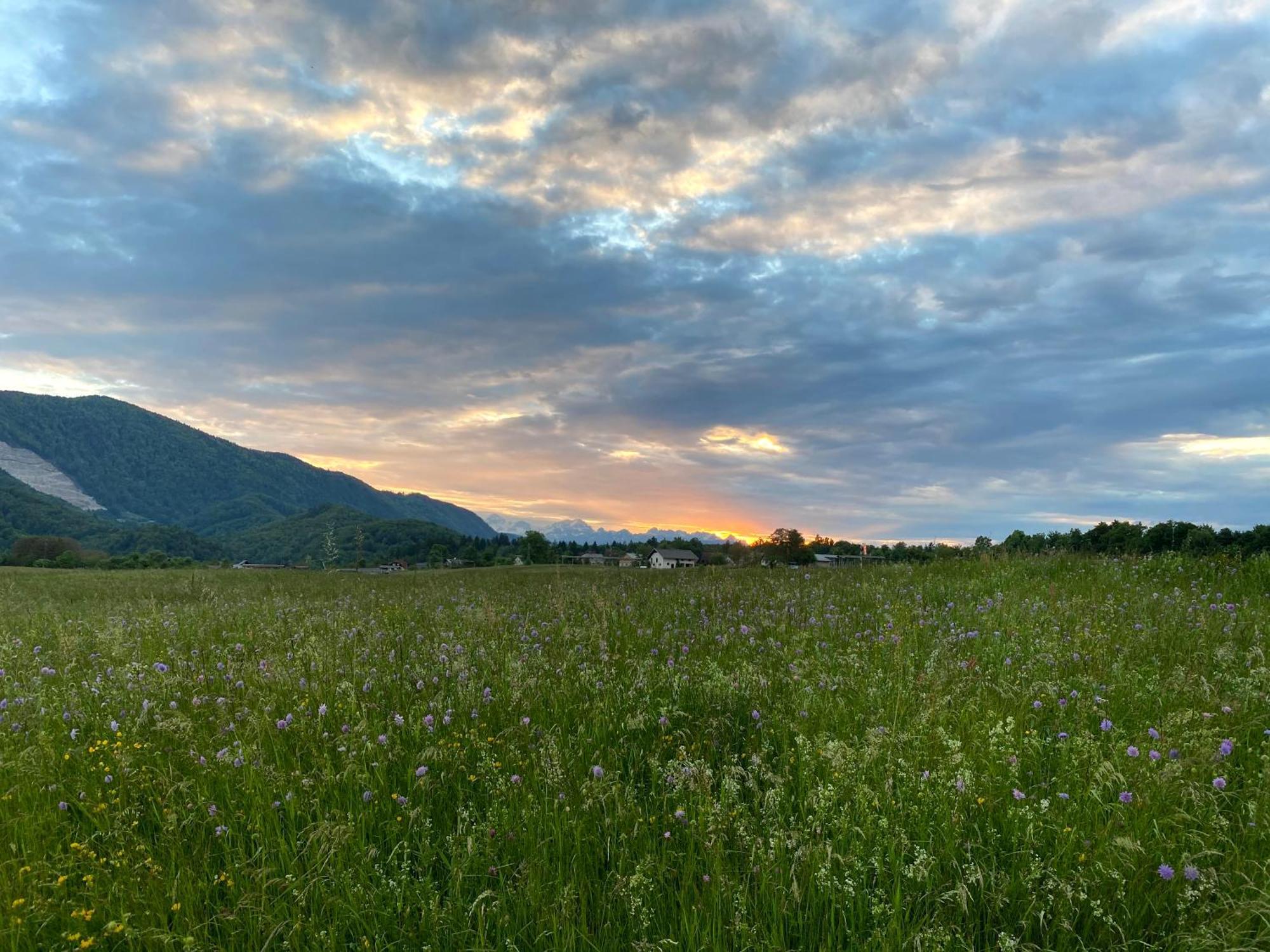 Luxury Holiday Home Near Lake Bled & The Alps Kropa Esterno foto